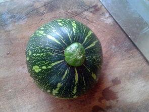 湖南探花51吃瓜,揭秘吃瓜背后的故事与真相