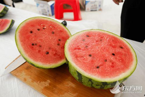 别的国家吃瓜,各国独特“吃瓜”文化揭秘