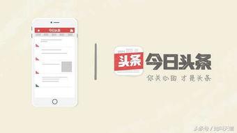 头条上的公众号有哪些,揭秘热门话题背后的深度解读