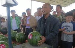 阳西吃瓜群众,揭秘当地热点事件背后的真相