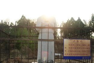 桥陵镇东杨村新闻头条,乡村振兴新篇章，东杨村发展成果丰硕