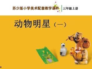 动物明星活动方案,一场别开生面的互动盛宴